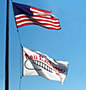 Image of flags